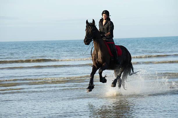 "Magnifique 2 Pieces " 150M Plages Et 500M Centre De Cabourg Ngoại thất bức ảnh